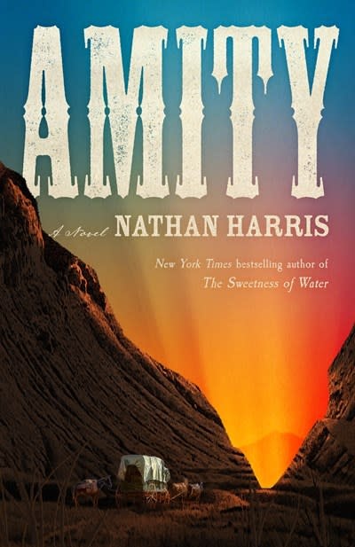 Little, Brown and Company Amity: A Novel