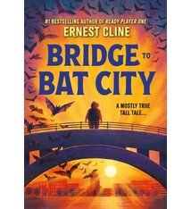 Little, Brown Books for Young Readers Bridge to Bat City