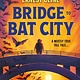 Little, Brown Books for Young Readers Bridge to Bat City