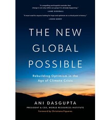The New Global Possible: Rebuilding Optimism in the Age of Climate Crisis