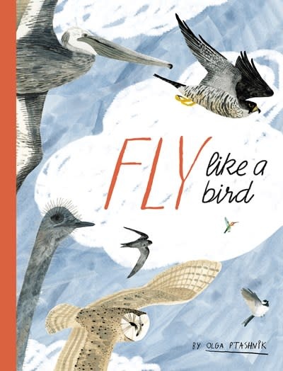 Eerdmans Books for Young Readers Fly Like a Bird