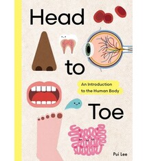Head to Toe: An Introduction to the Human Body
