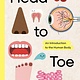 Head to Toe: An Introduction to the Human Body
