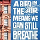 Crown Books for Young Readers A Bird in the Air Means We Can Still Breathe