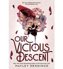 Sourcebooks Fire Our Vicious Descent
