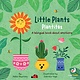 Little Plants, Plantitas:  A Bilingual Book About Emotions