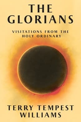 Grove Press The Glorians: Visitations from the Holy Ordinary