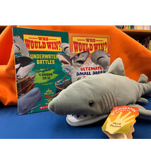 Linden Tree Books St. Nicholas Catholic School Angel Tree of Hope: $40 Gift Bundle