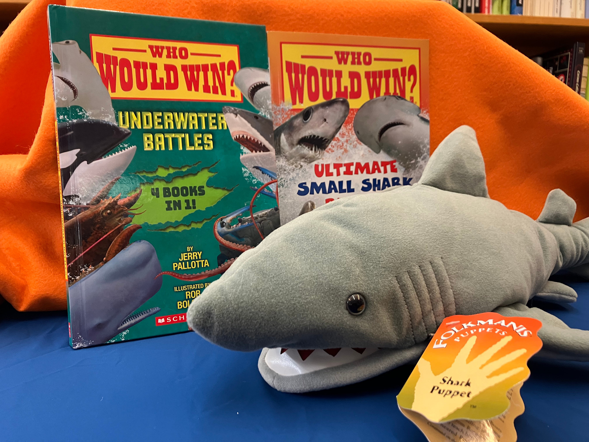 Linden Tree Books St. Nicholas Catholic School Angel Tree of Hope: $40 Gift Bundle