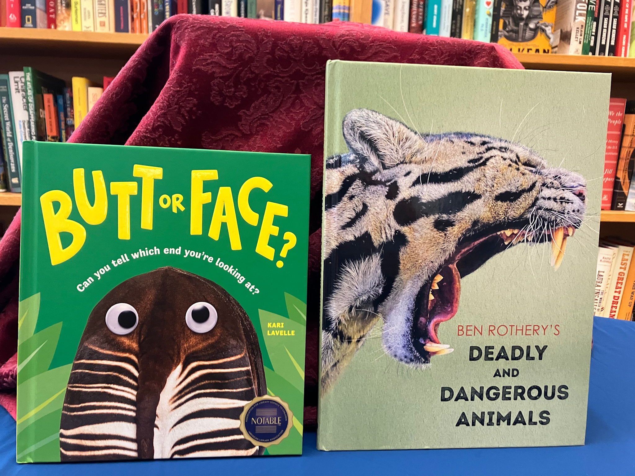 Linden Tree Books St. Nicholas Catholic School Angel Tree of Hope: $30 Gift Bundle