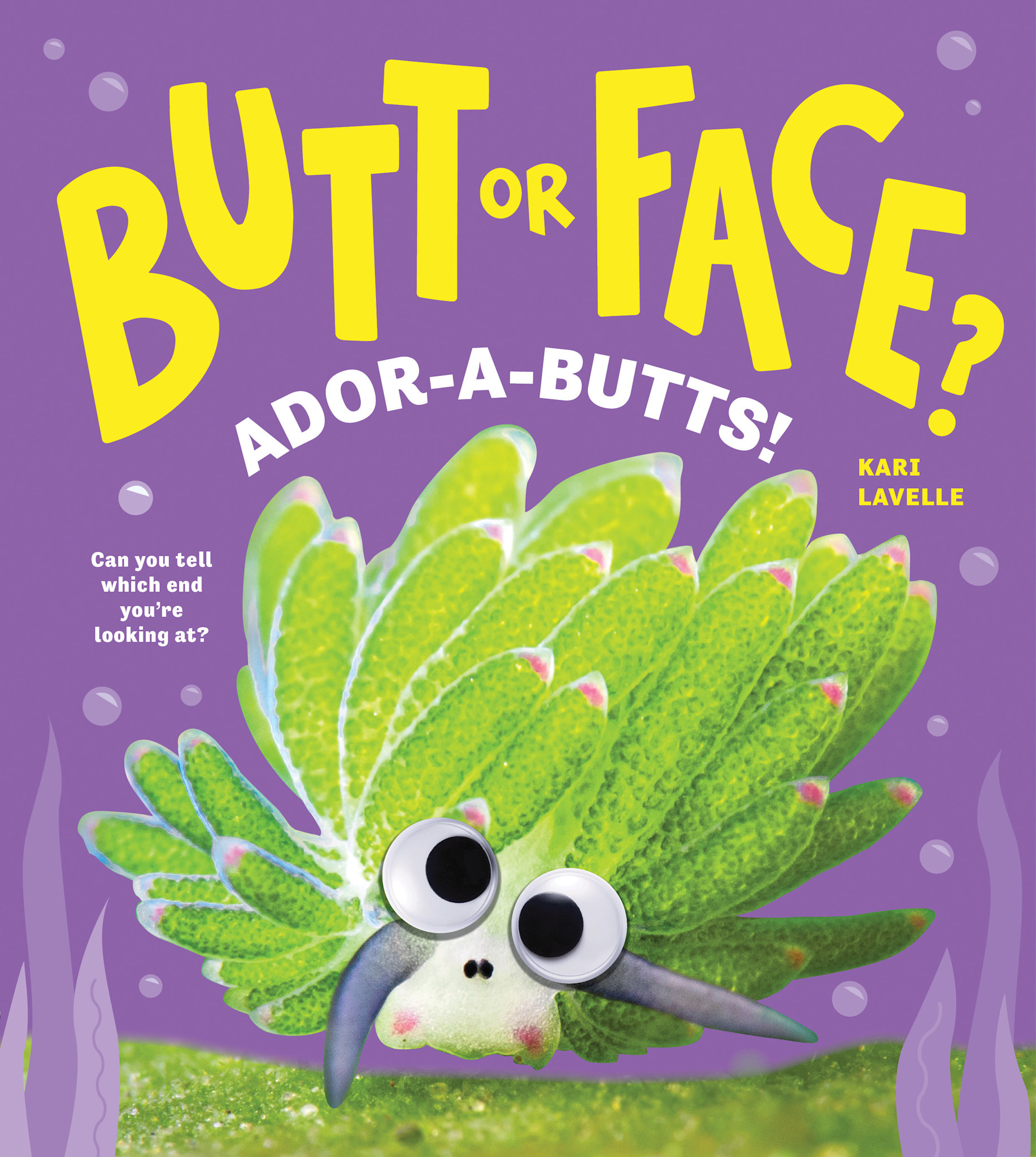 Sourcebooks Explore Butt or Face? Volume 4: Ador-A-Butts!