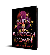 Sourcebooks Fire Burn the Kingdom Down