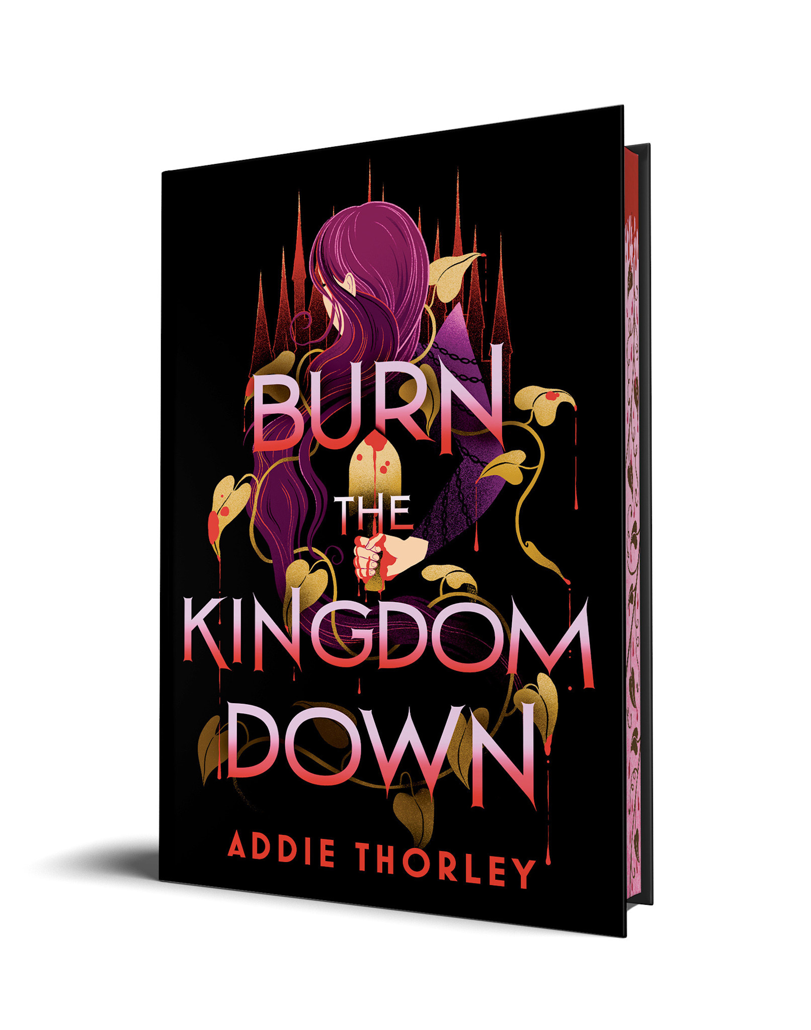 Sourcebooks Fire Burn the Kingdom Down
