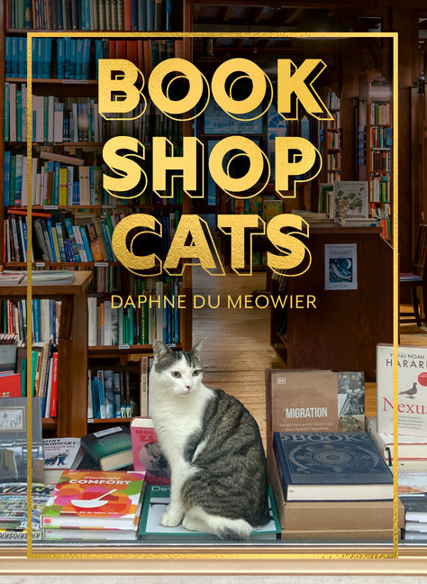 HarperCollins Bookshop Cats