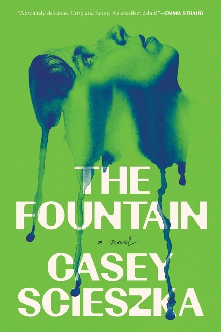 Harper The Fountain: A Novel