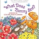 Clarion Books What Does Bunny See?: A Book of Colors and Flowers