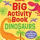 Usborne Big Activity Book Dinosaurs