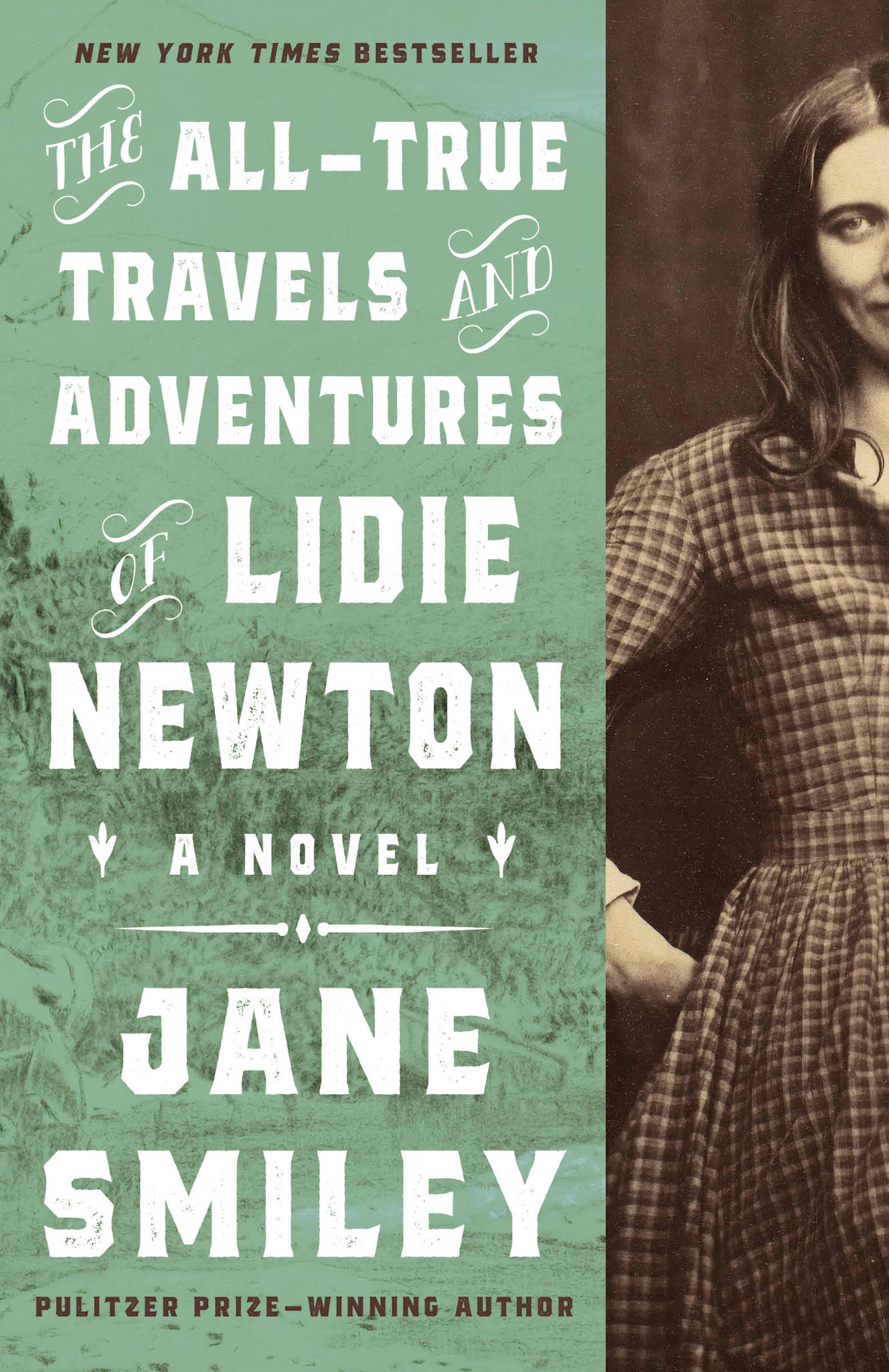 Vintage The All-True Travels and Adventures of Lidie Newton: A Novel
