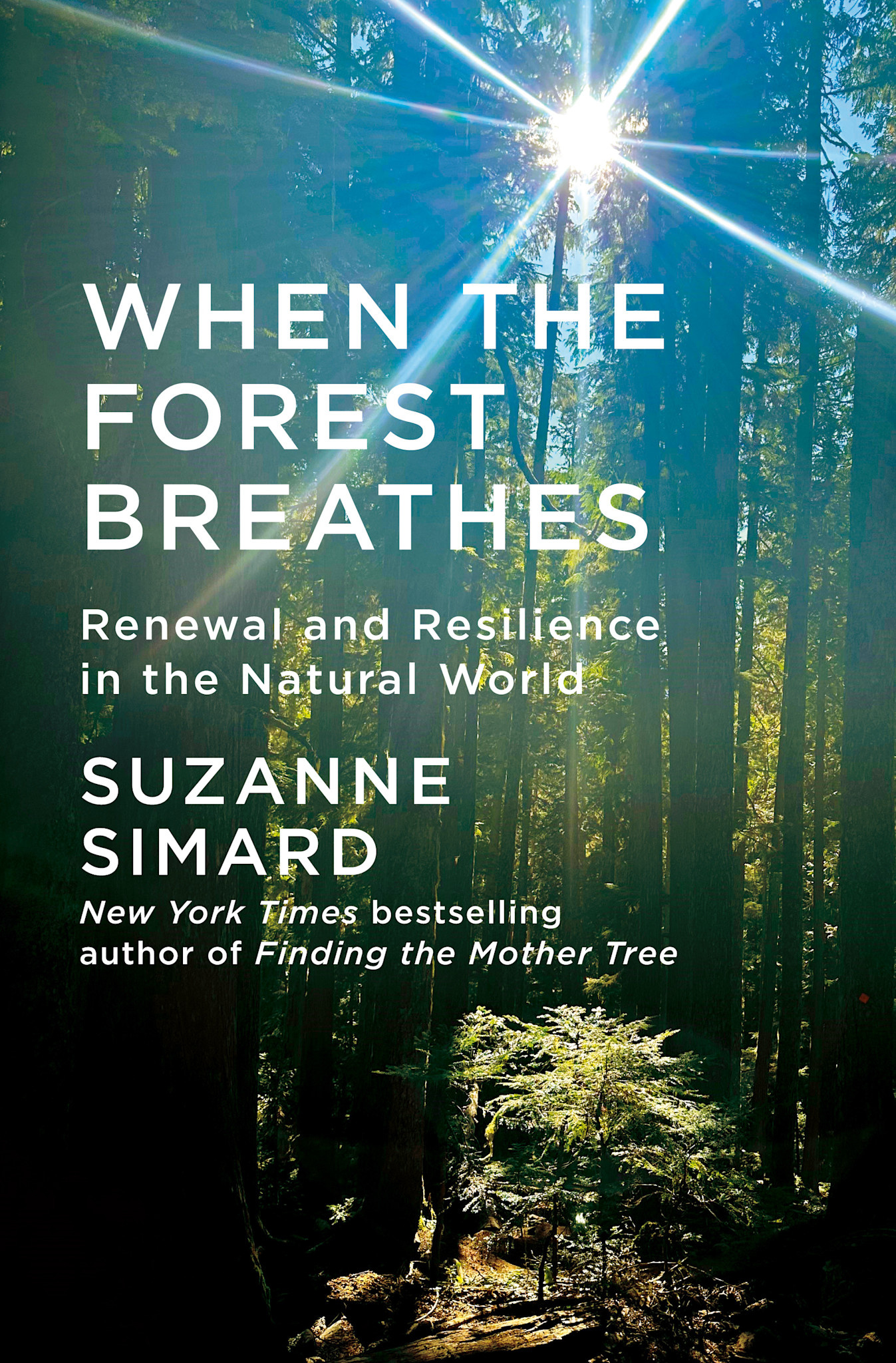 Knopf When the Forest Breathes: Renewal and Resilience in the Natural World