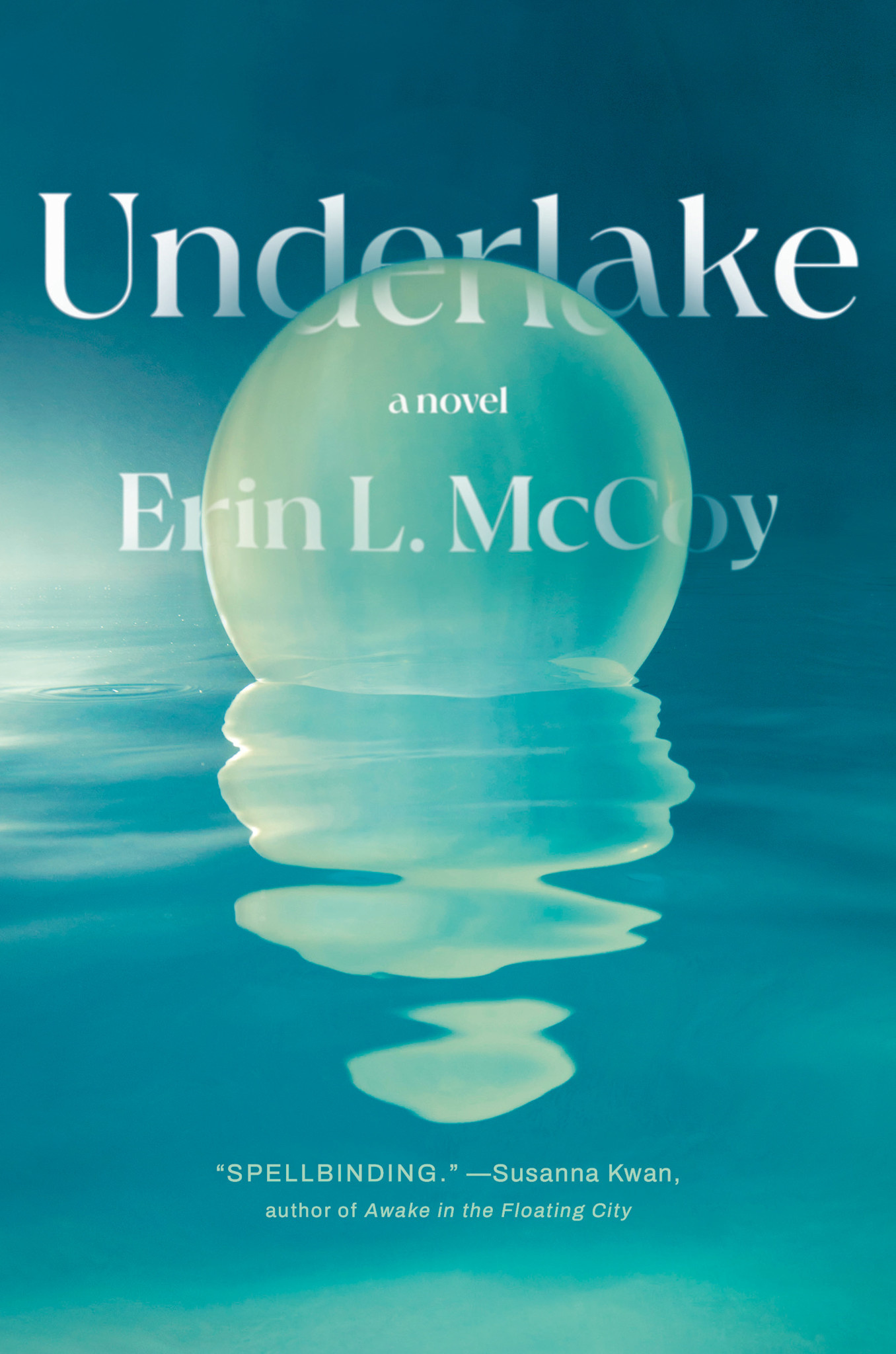 Doubleday Underlake: A Novel