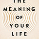 Portfolio The Meaning of Your Life: Finding Purpose in an Age of Emptiness
