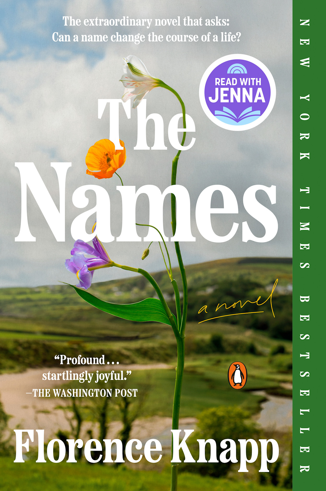Penguin Books The Names: A Read with Jenna Pick: A Novel