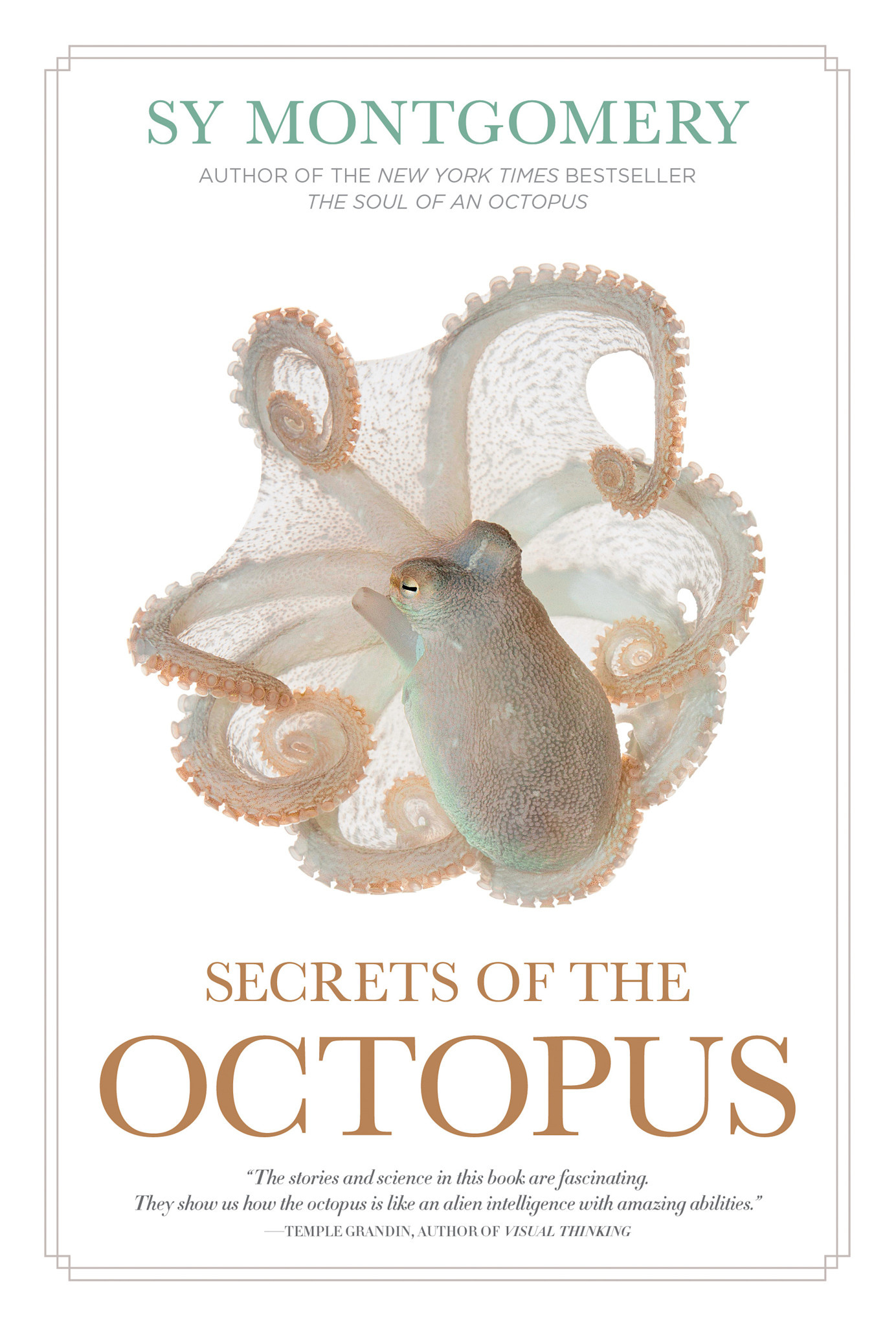 National Geographic Secrets of the Octopus