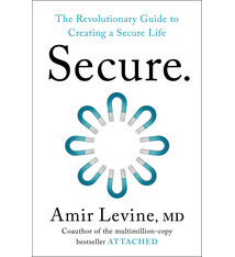 Secure: The Revolutionary Guide to Creating a Secure Life