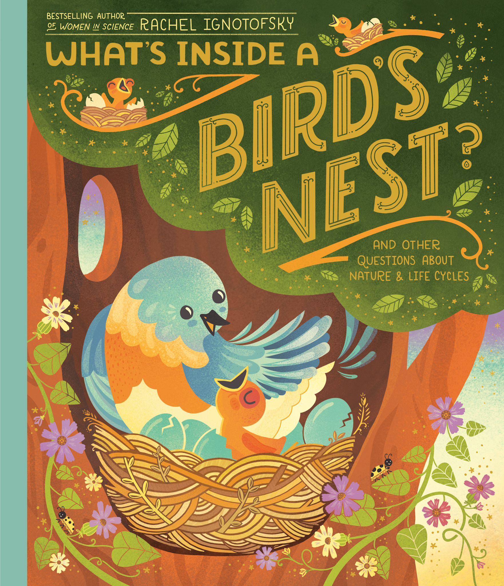 Dragonfly Books What's Inside A Bird's Nest?: And Other Questions About Nature & Life Cycles