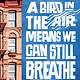 Crown Books for Young Readers A Bird in the Air Means We Can Still Breathe