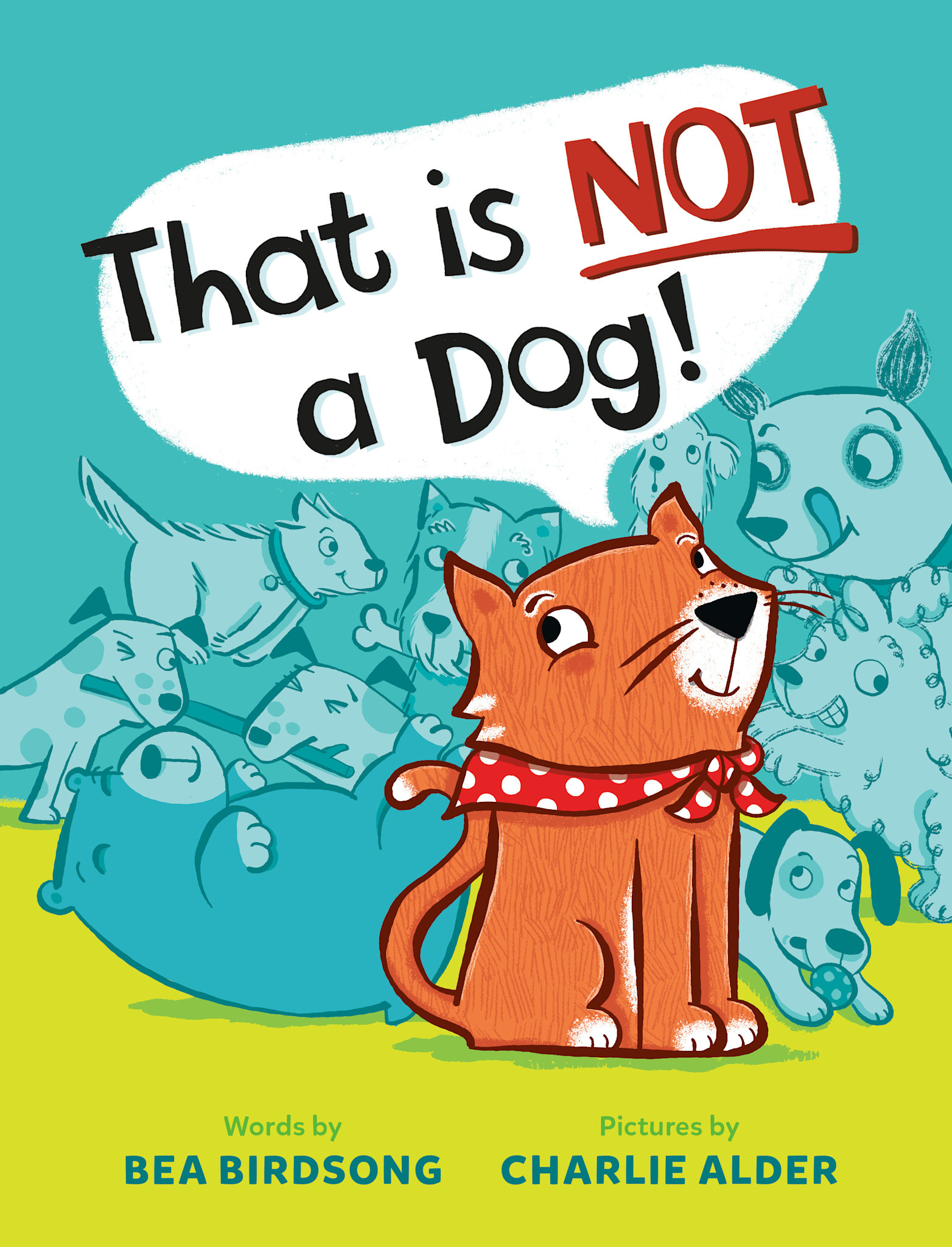 Nancy Paulsen Books That Is Not a Dog!