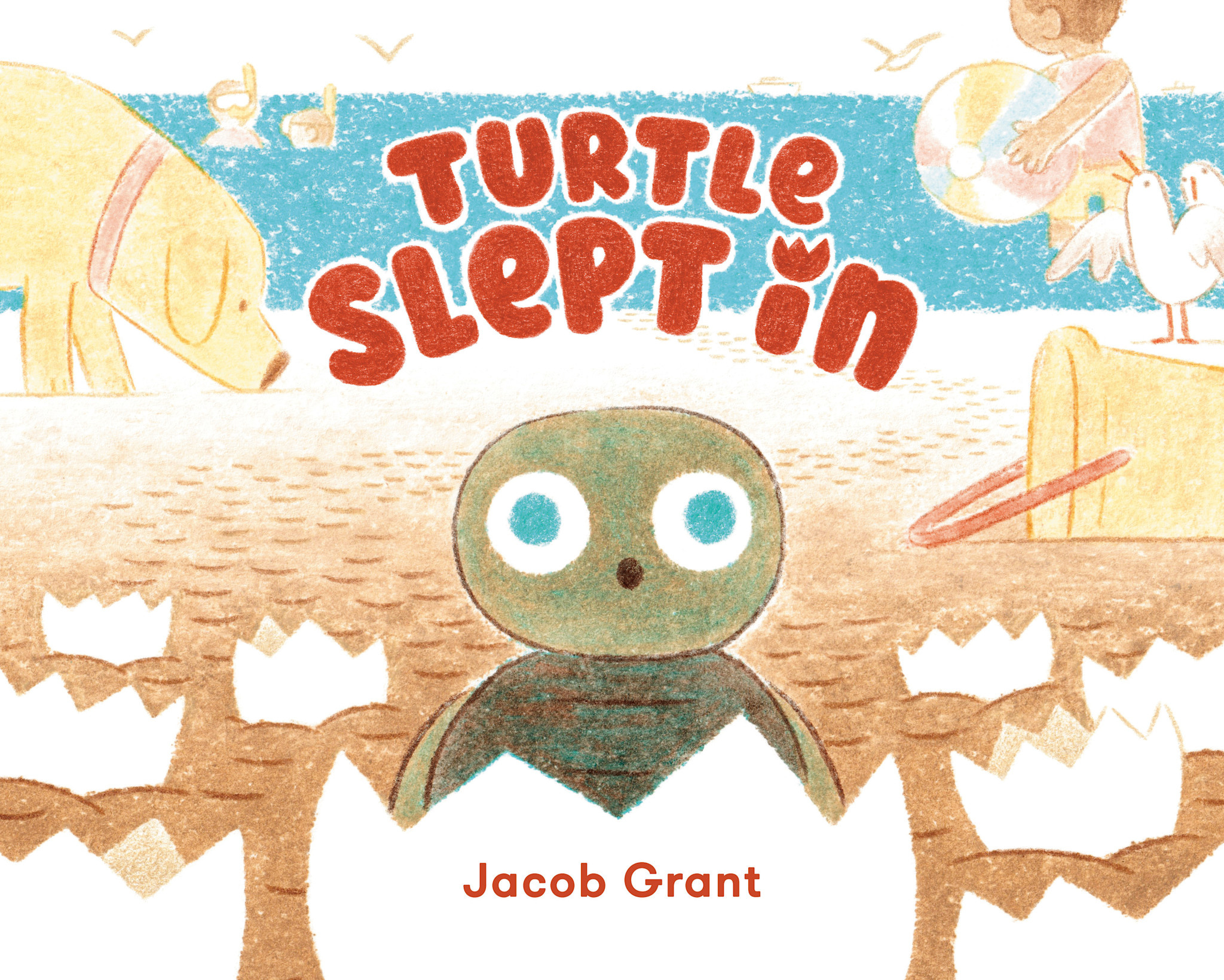 Viking Books for Young Readers Turtle Slept In