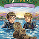 Random House Books for Young Readers Magic Tree House #40 Sea Otter Sunrise