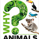 DK Children Why? Animals: Brilliant Answers to Baffling Questions
