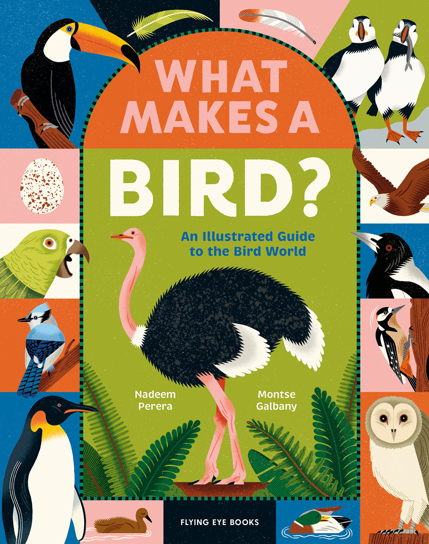 Flying Eye Books What Makes a Bird?