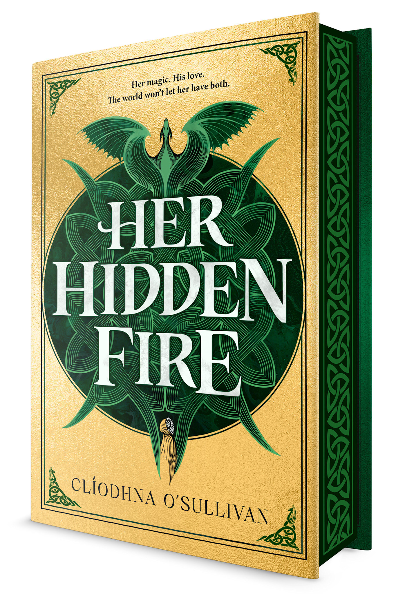 Viking Books for Young Readers Her Hidden Fire