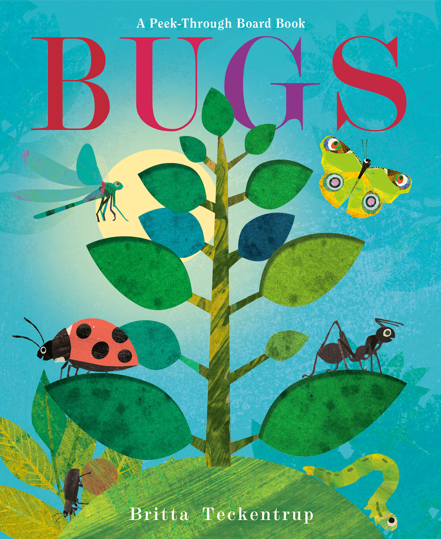 Doubleday Books for Young Readers Bugs: A Peek-Through Board Book