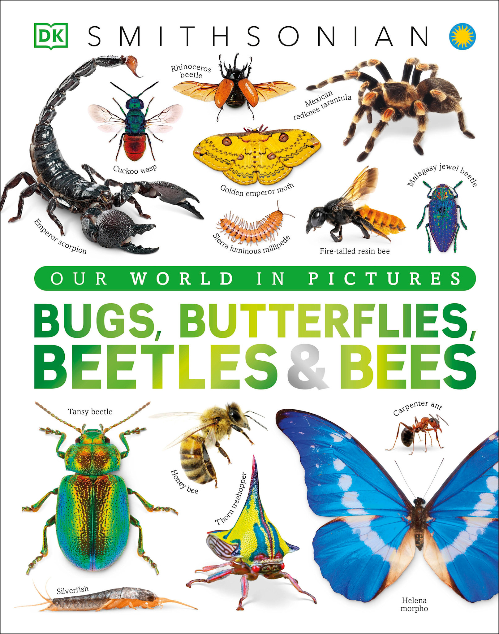 DK Children Our World in Pictures Bugs, Butterflies, Beetles and Bees