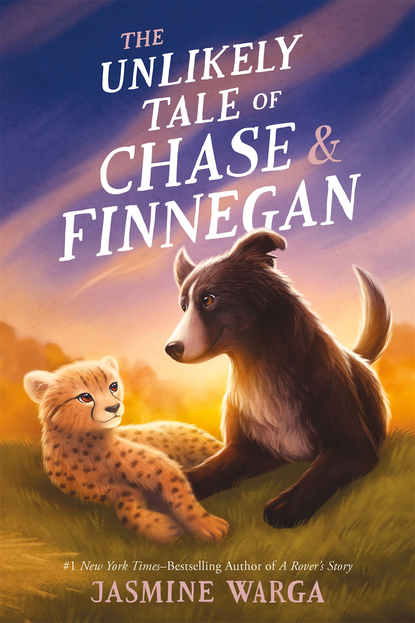 Balzer + Bray The Unlikely Tale of Chase and Finnegan