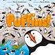 Roaring Brook Press Puffins!