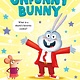 Feiwel & Friends Unfunny Bunny