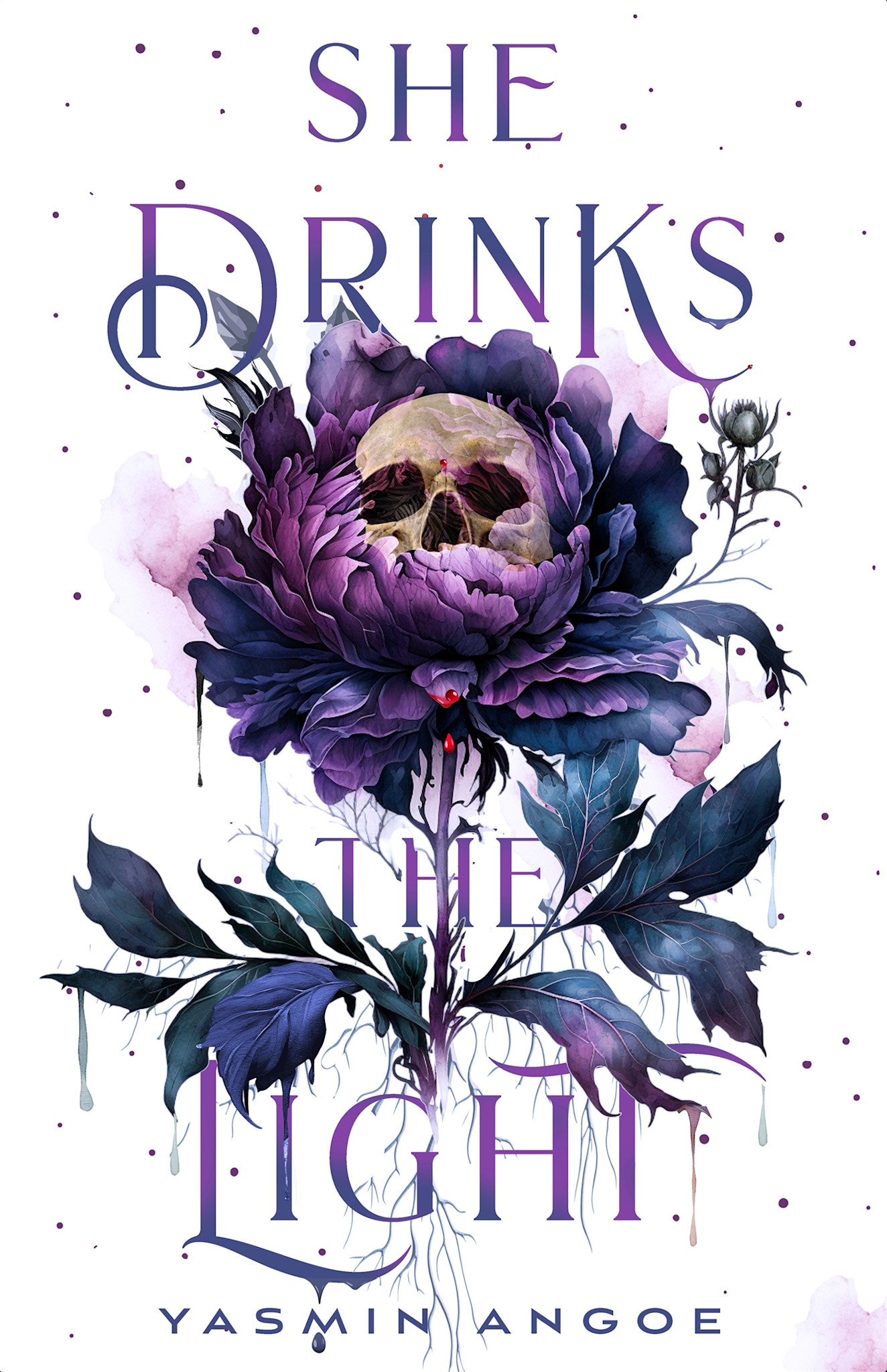 Feiwel & Friends She Drinks the Light