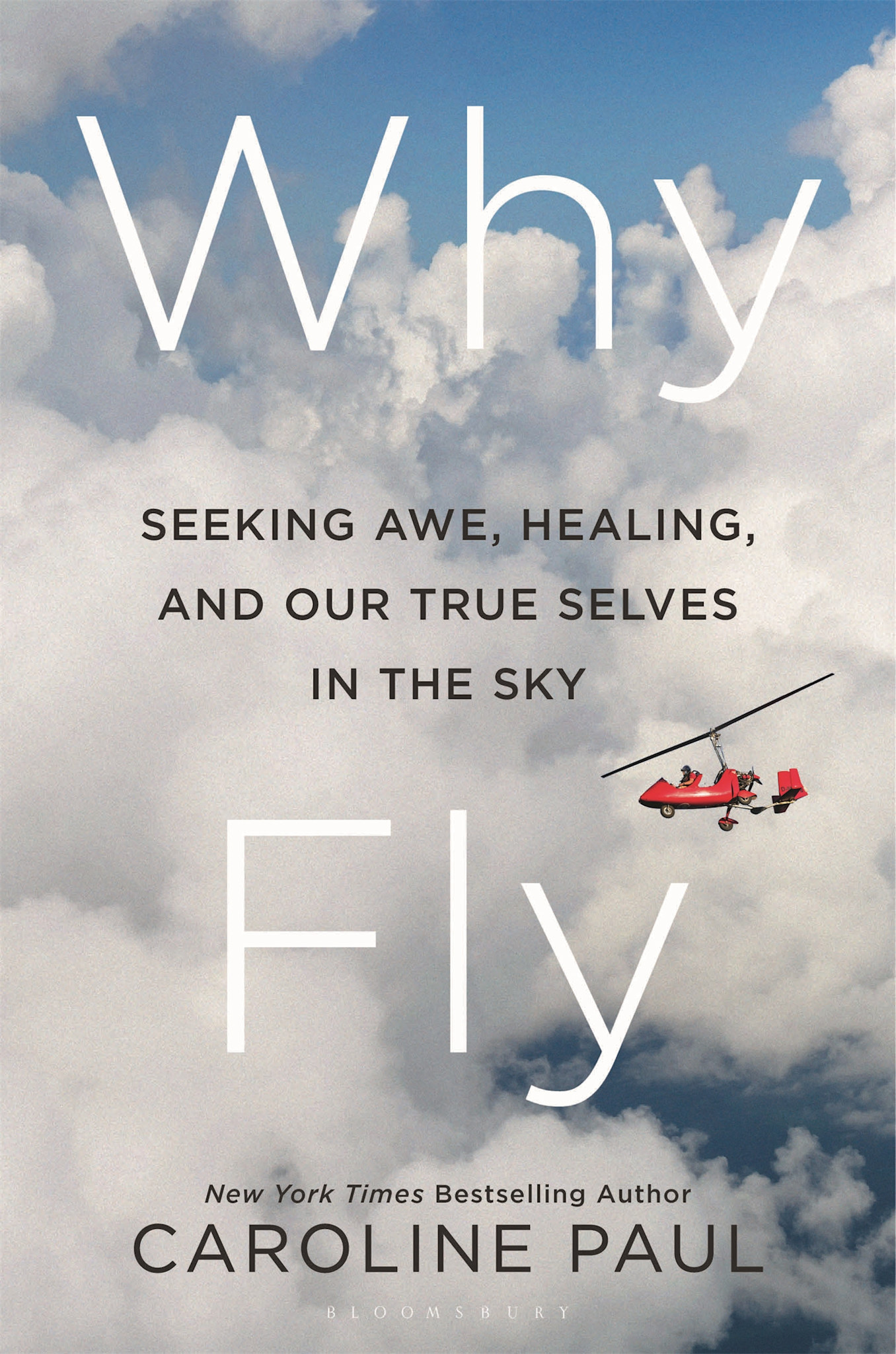 Bloomsbury Publishing Why Fly: Seeking Awe, Healing, and Our True Selves in the Sky
