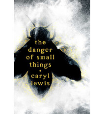 Atheneum Books for Young Readers The Danger of Small Things