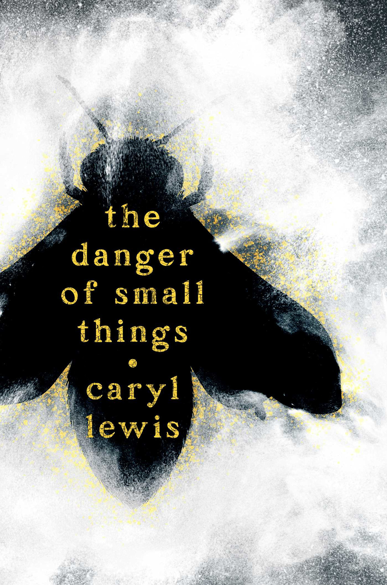 Atheneum Books for Young Readers The Danger of Small Things