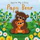 Silver Dolphin Books You're My Little Papa Bear