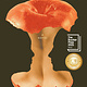 Scribner Flesh (Booker Prize Winner)