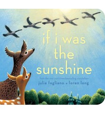 Little Simon If I Was the Sunshine