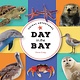 Animal Adventures: Day in the Bay
