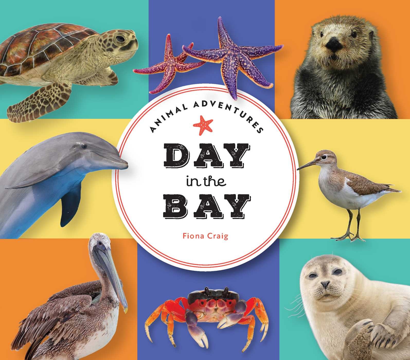 Animal Adventures: Day in the Bay